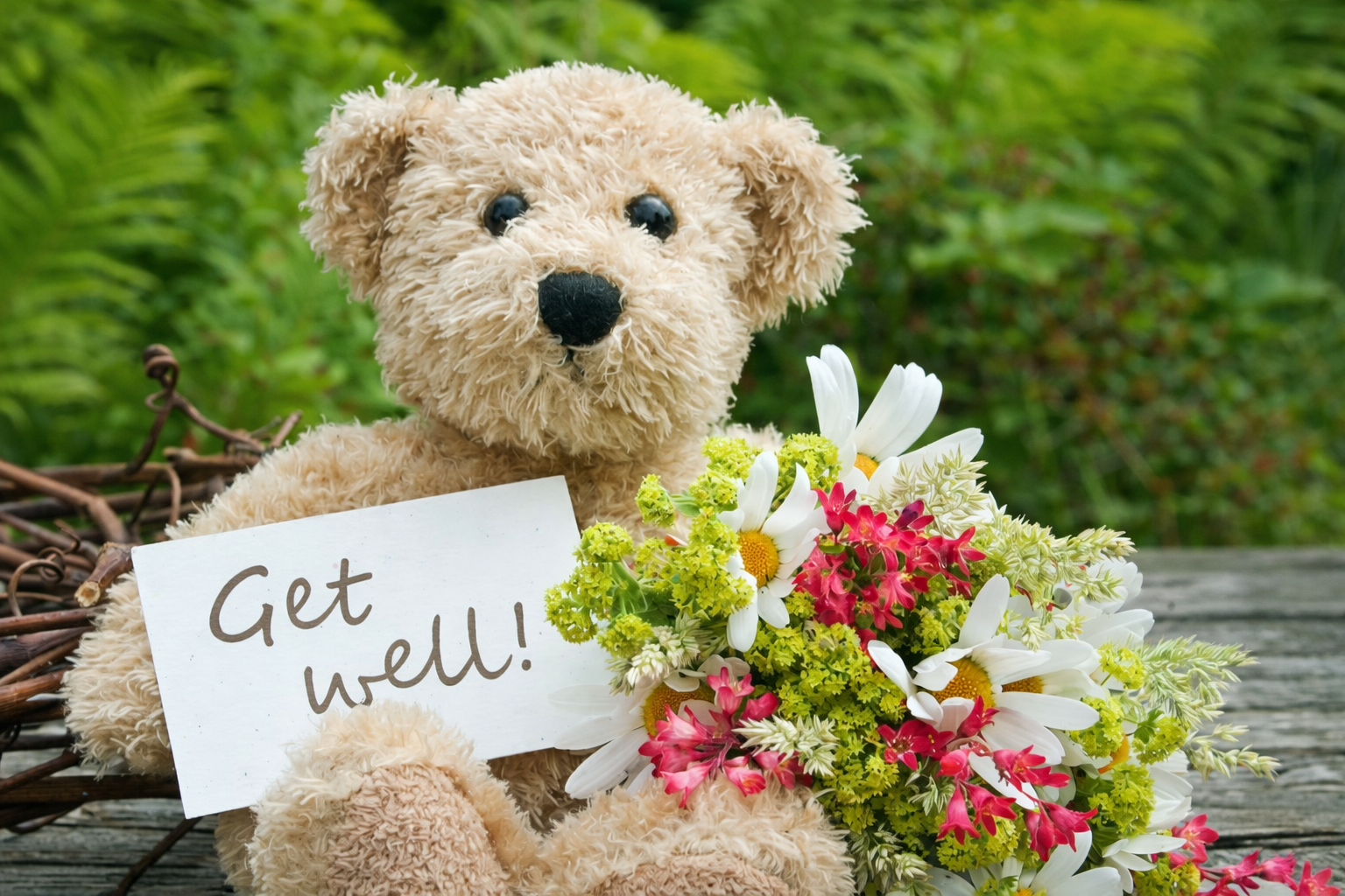 Get well teddy bear+valteos flowers and gifts+fresh flowers+el paso+texas+new mexico.png