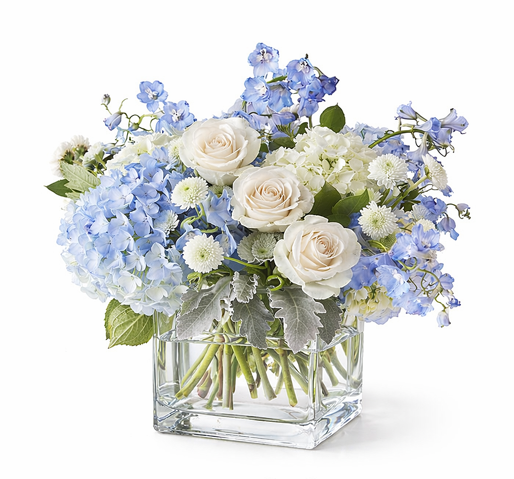 serene garden+flower arrangement shop+white+rose+hydrangeas+dusty miller+blue delphinium