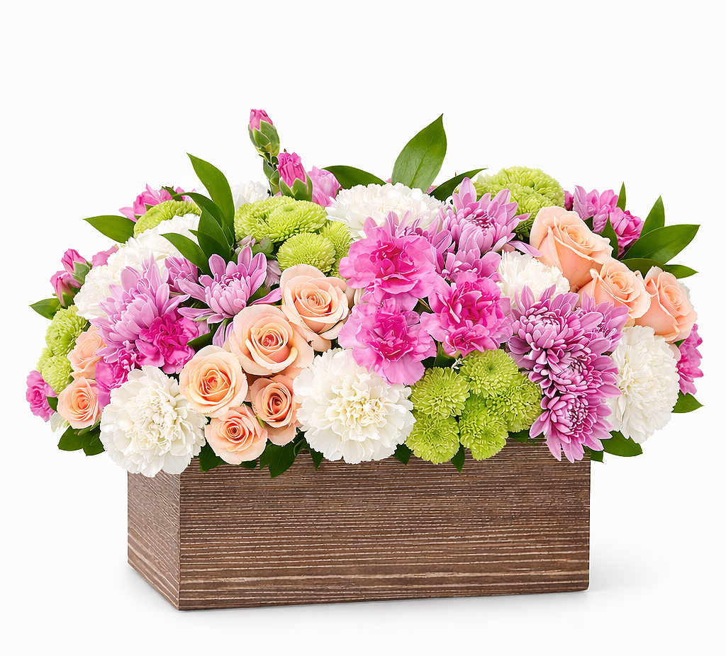 valteos flowers and gifts+arrangement+desert charm+pink+white+peach+carnations+roses+green button mums+chrysanthemums