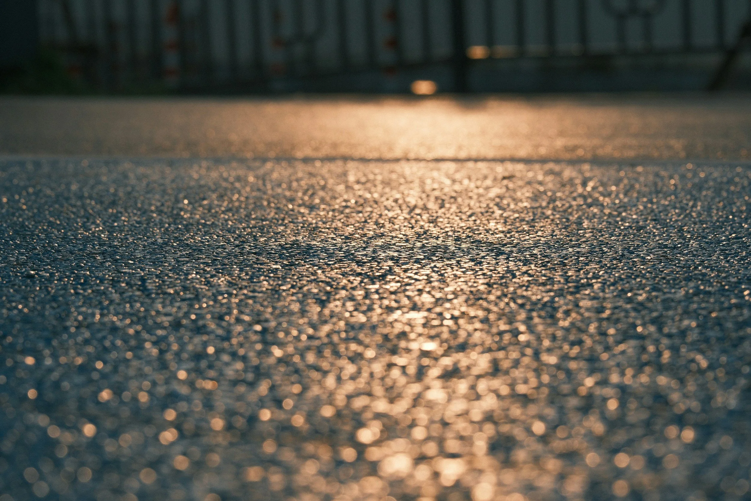 Close-up of textured surface illuminated by sunlight, with a blurred background of a fence and trees at sunset.