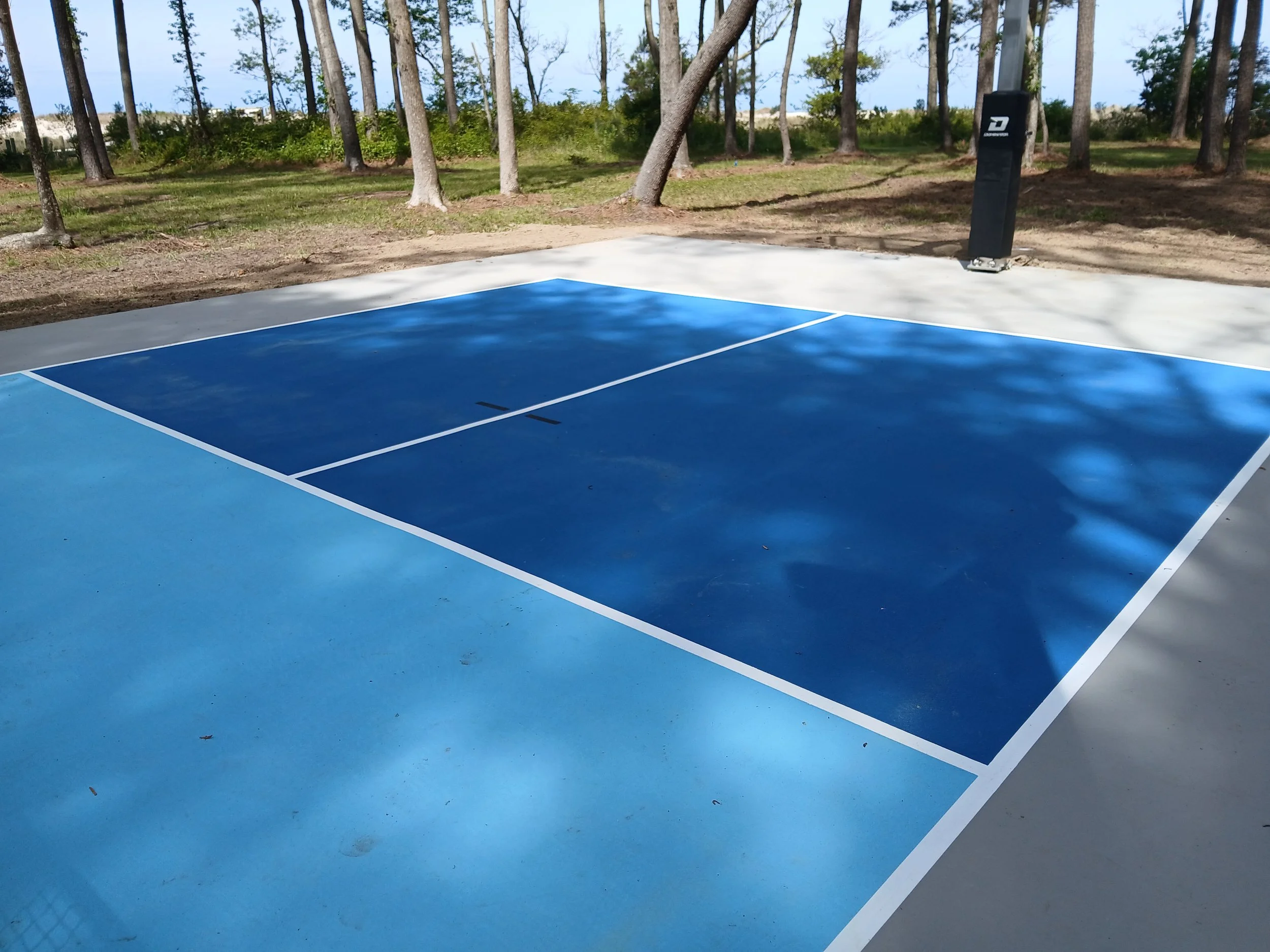 Empty blue tennis court surrounded by trees on a sunny day.