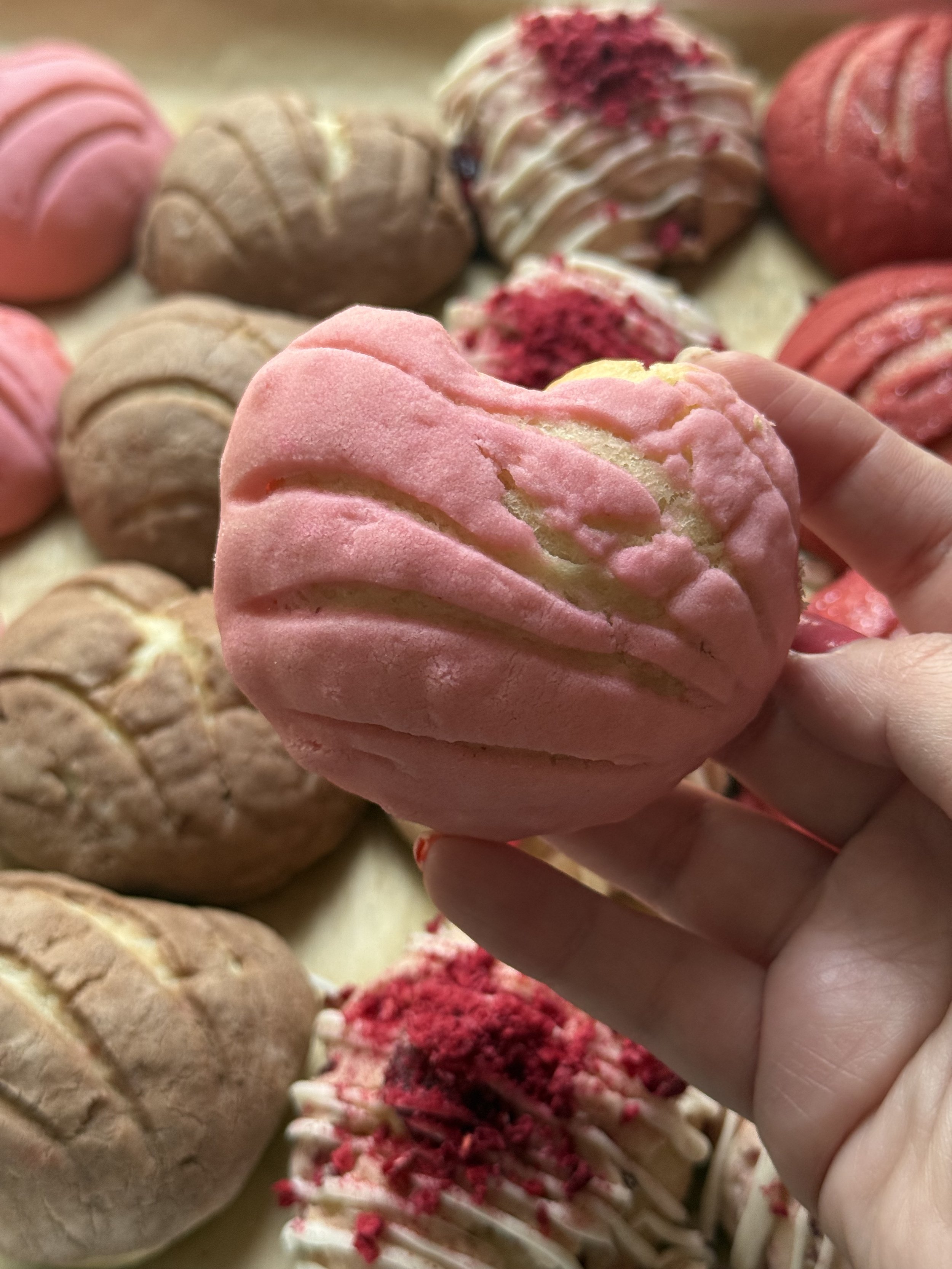 Conchita Flight | March 21st