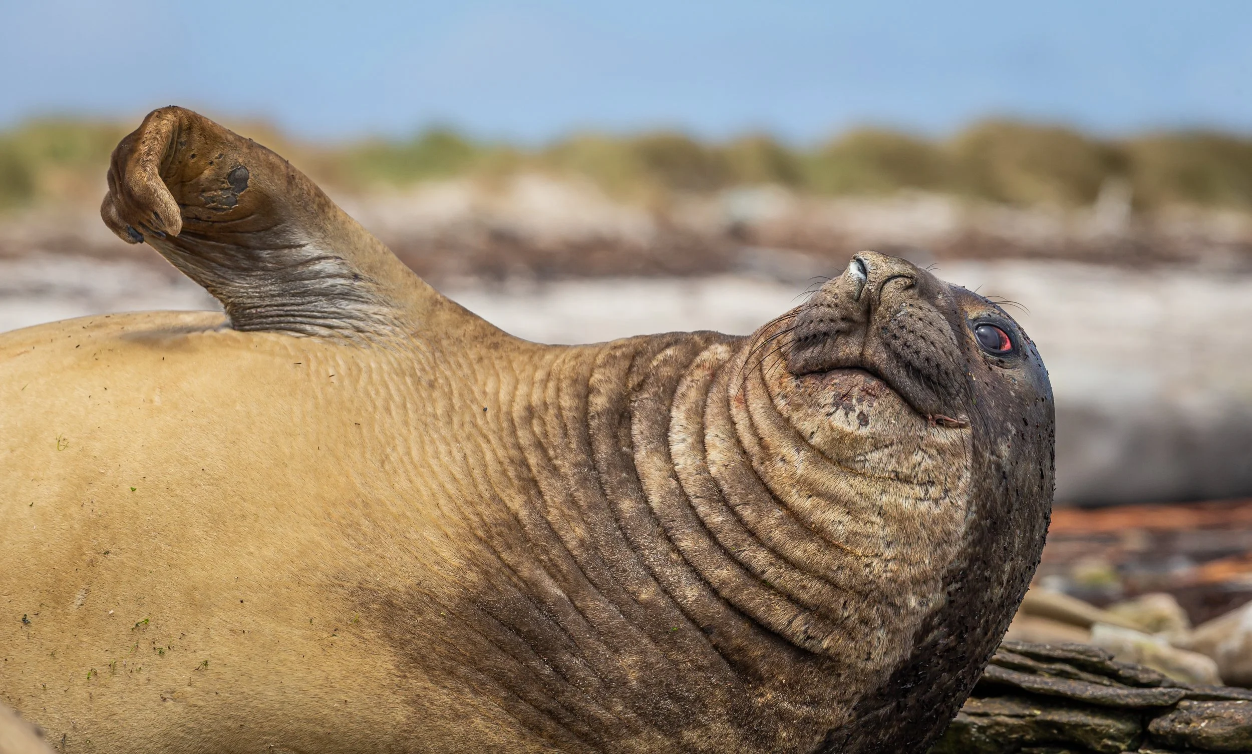 untitled (200 of 348).jpg