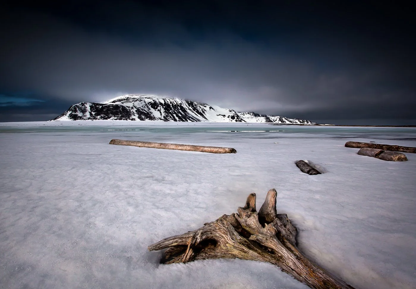 Arctic Wood Yard border.jpg