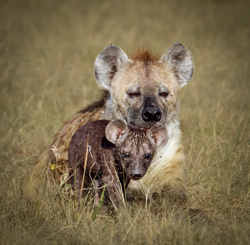 untitled (392 of 6546)-RW2-Edit-2.jpg