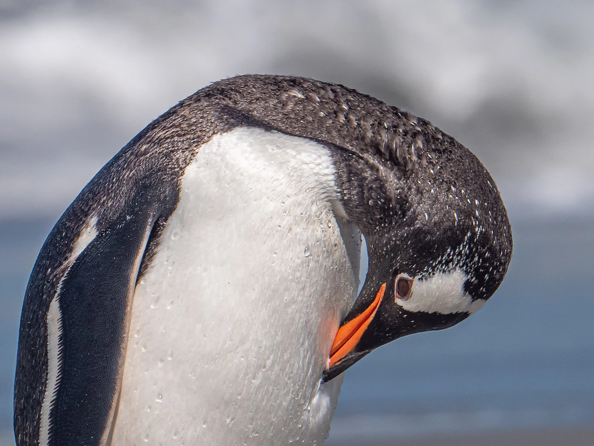 Lumix  4 (86 of 712)-Edit-Edit.jpg