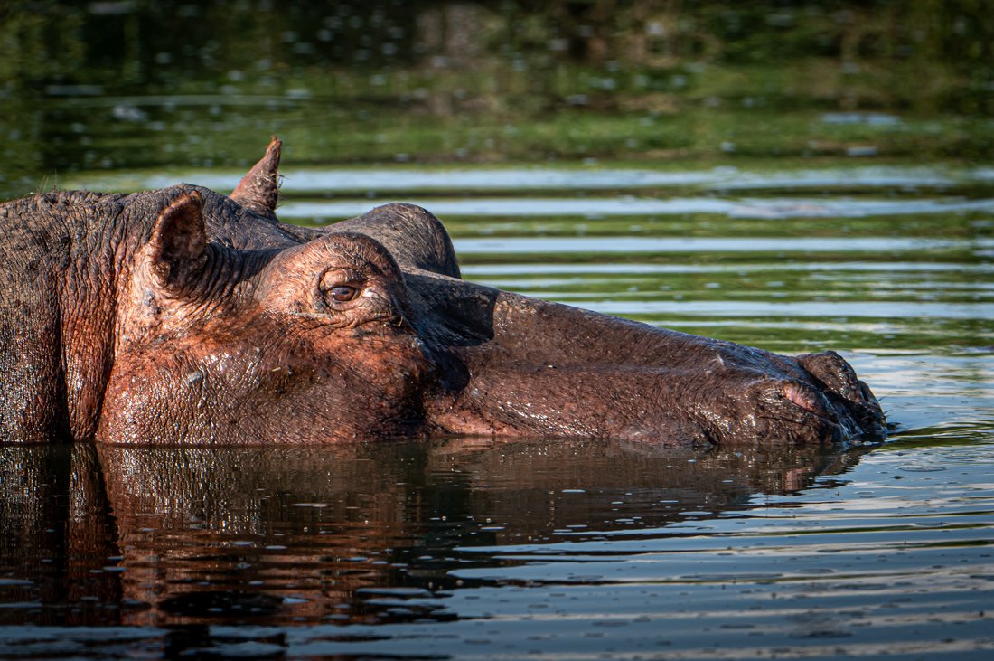 untitled (295 of 6546).jpg