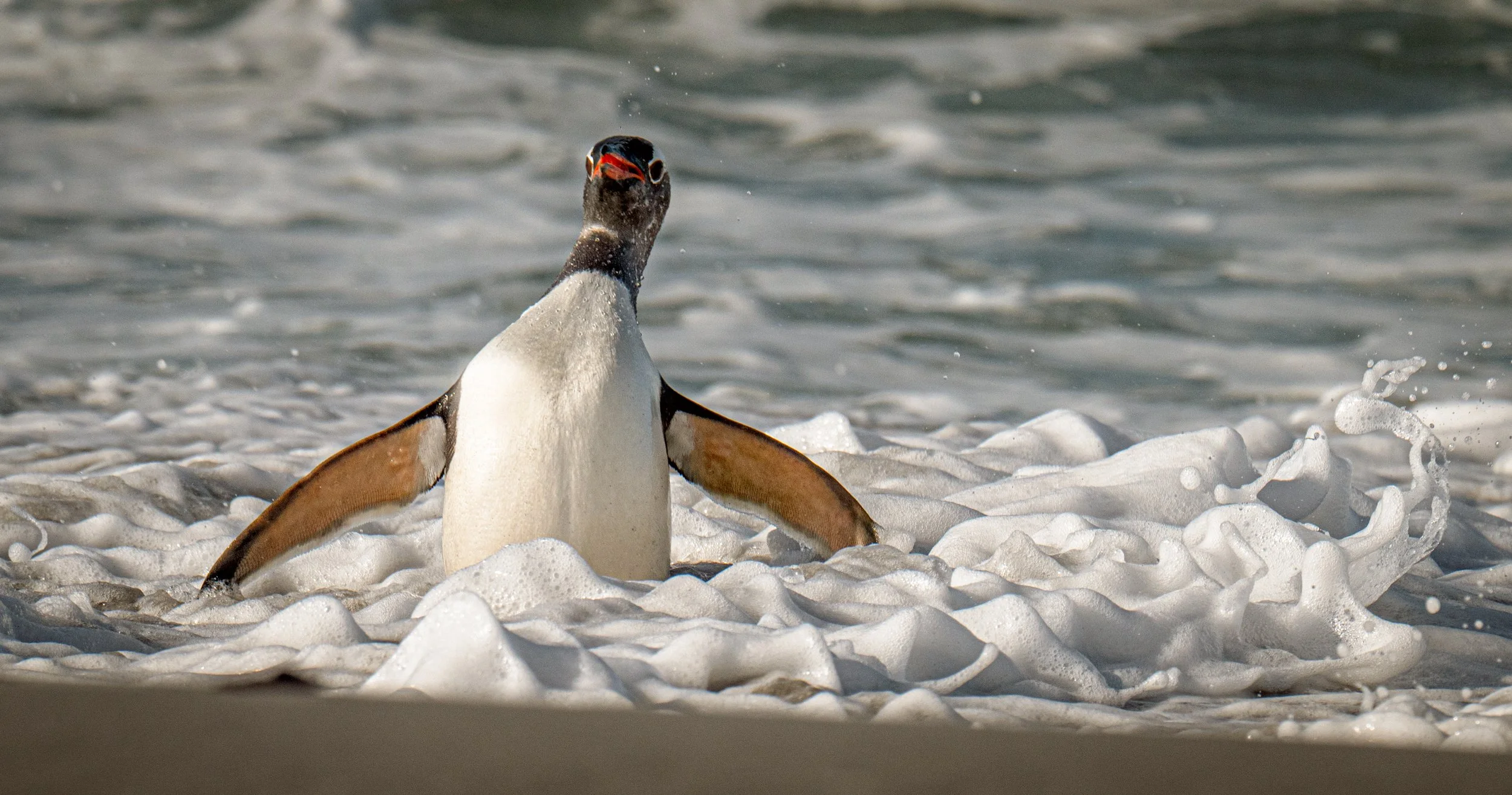 Lumix  4 (512 of 712).jpg