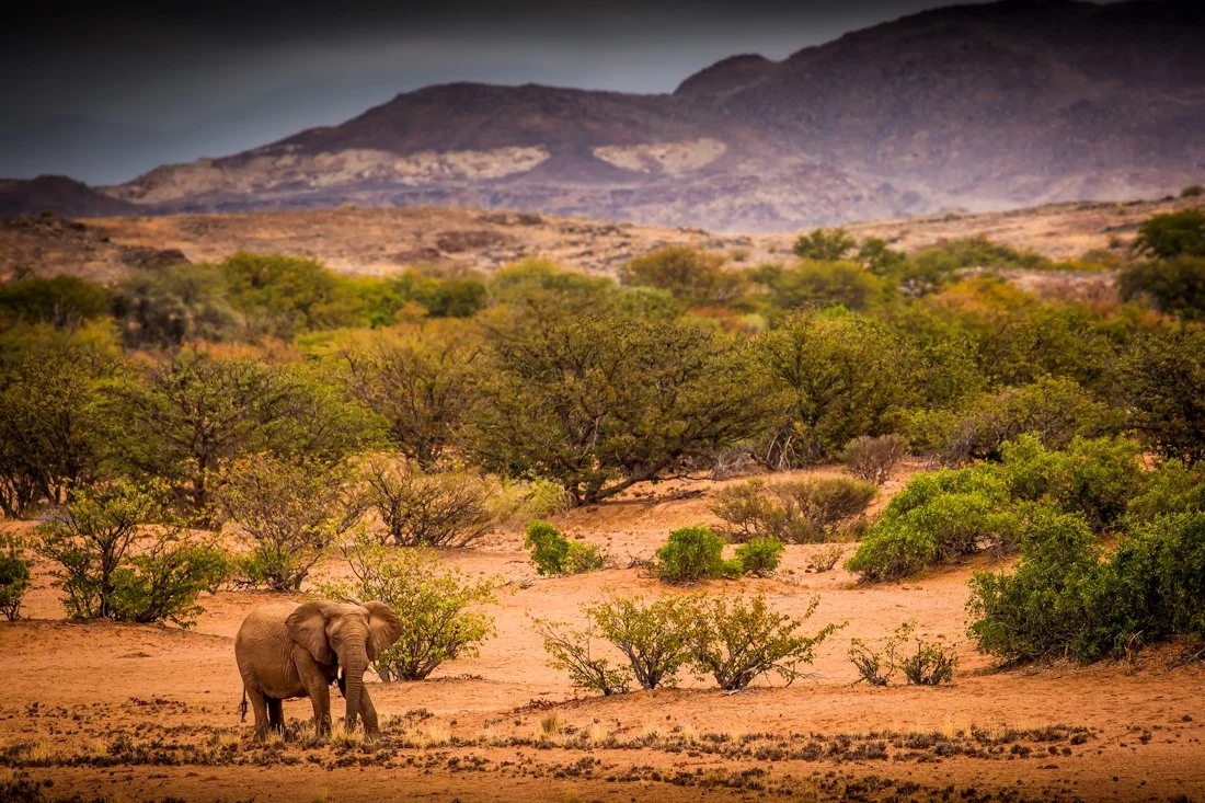 Namibia 8 (63 of 270)-Edit-Edit-Edit.jpg