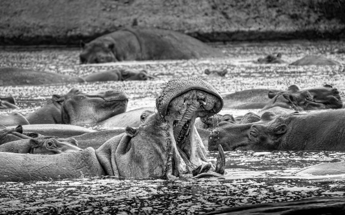 untitled (6395 of 6546)-Edit-Edit.jpg