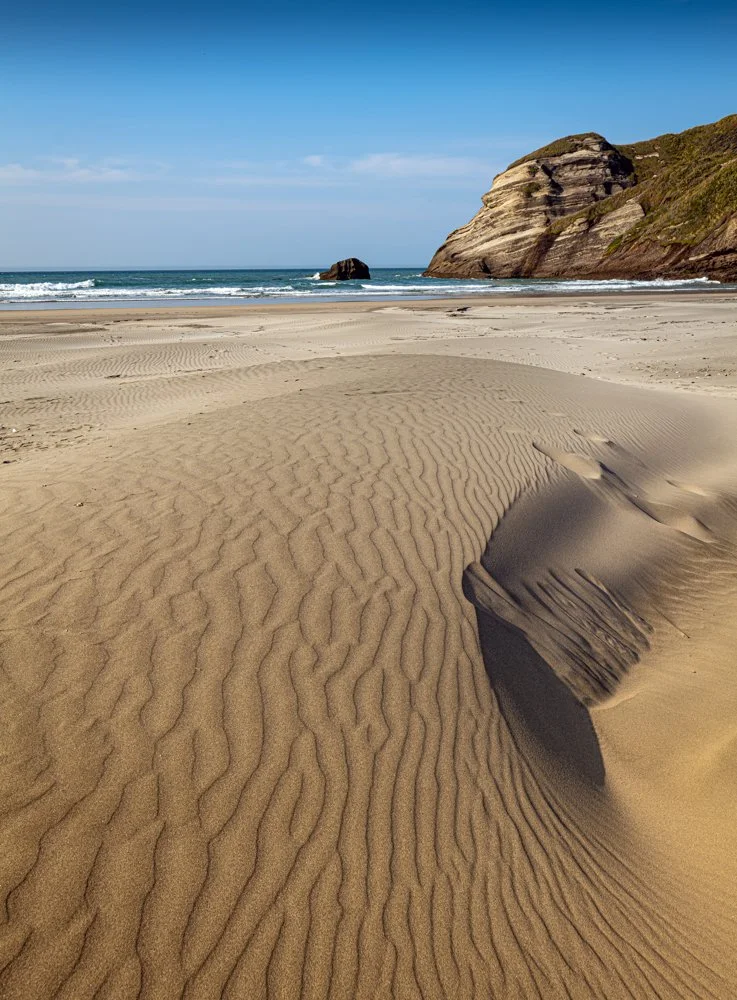 untitled (167 of 838)-Edit-3.jpg