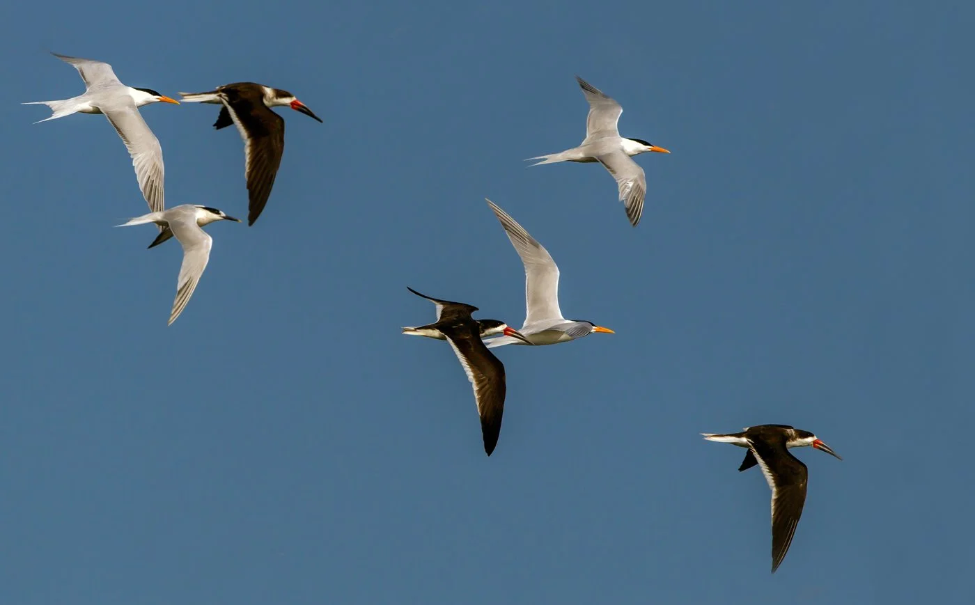 untitled (2 of 29).jpg