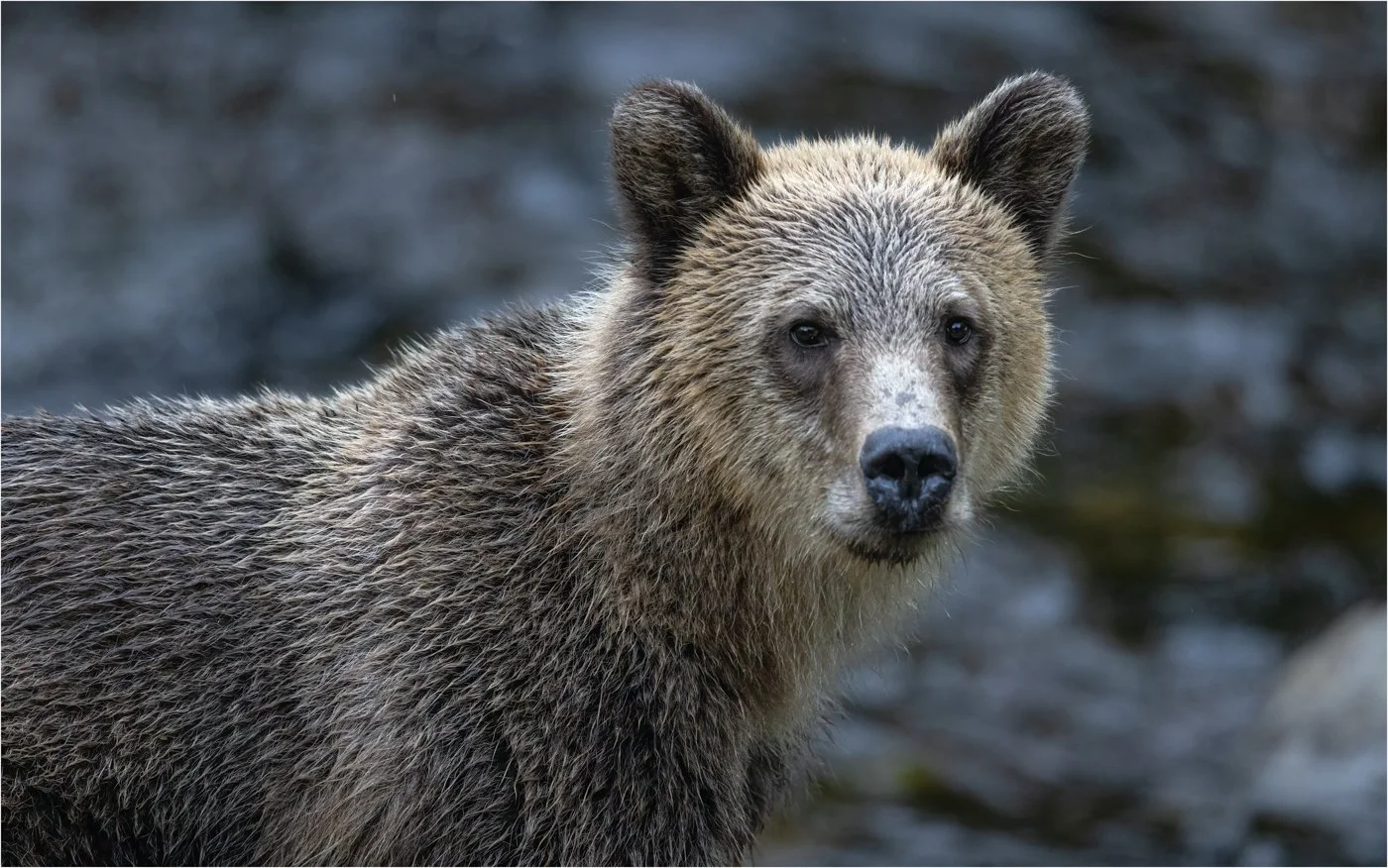 untitled (930 of 1393)-Edit-Edit.jpg