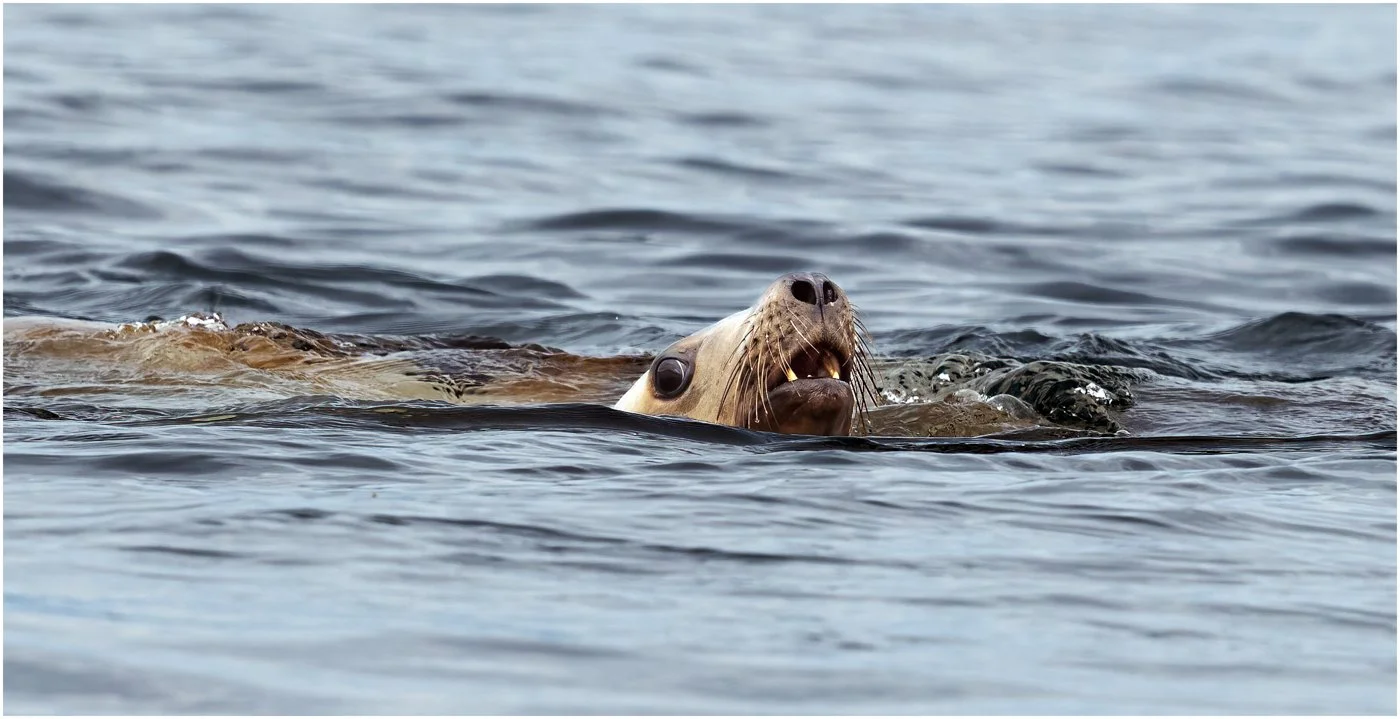 untitled (408 of 870)-Edit-Edit.jpg