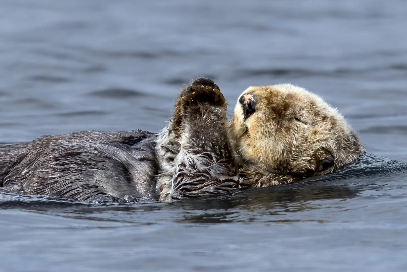 untitled (491 of 870)-Edit-Edit.jpg