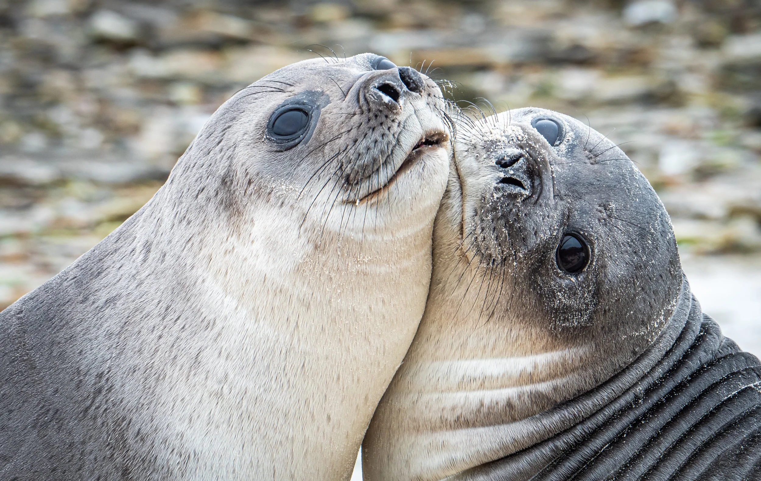 Lumix  3 (276 of 579).jpg