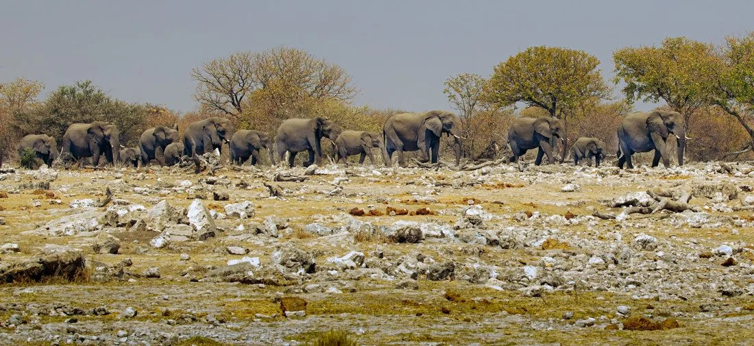 Namibia 18 (1081 of 2184)ver2-Edit.jpg