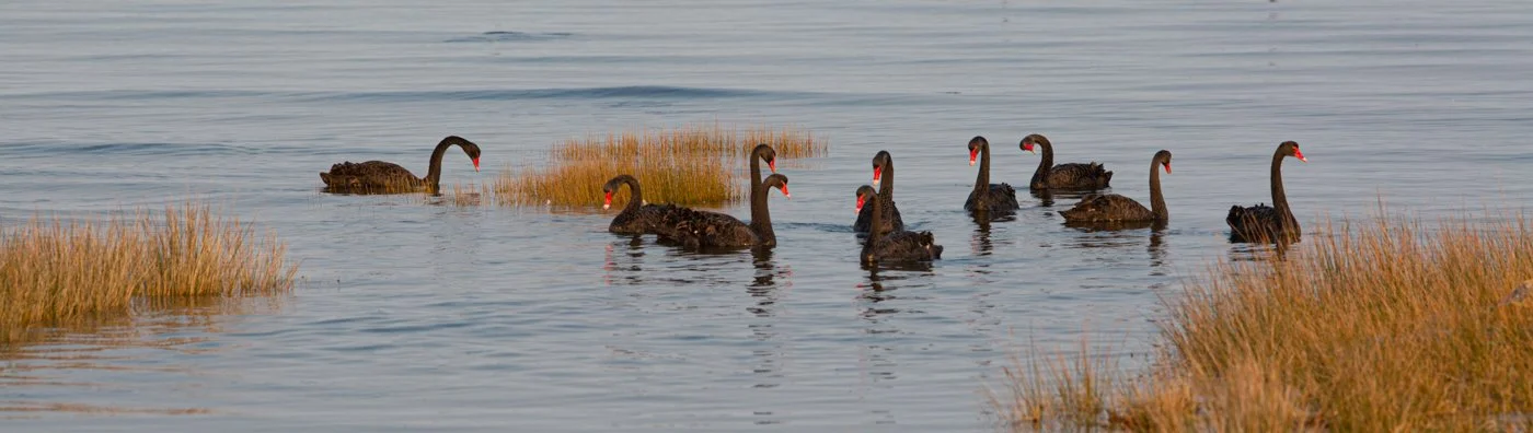 untitled (689 of 1015).jpg