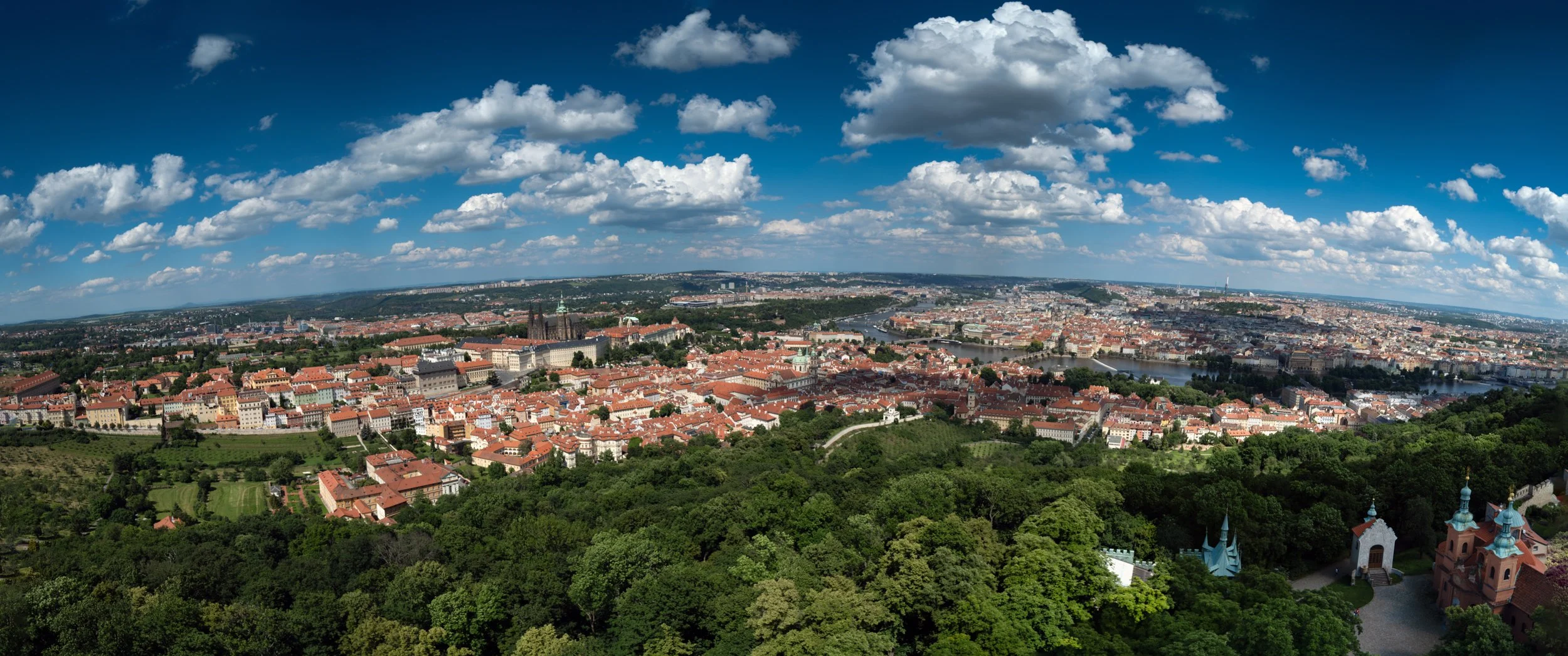 untitled (796 of 898)-Edit.jpg