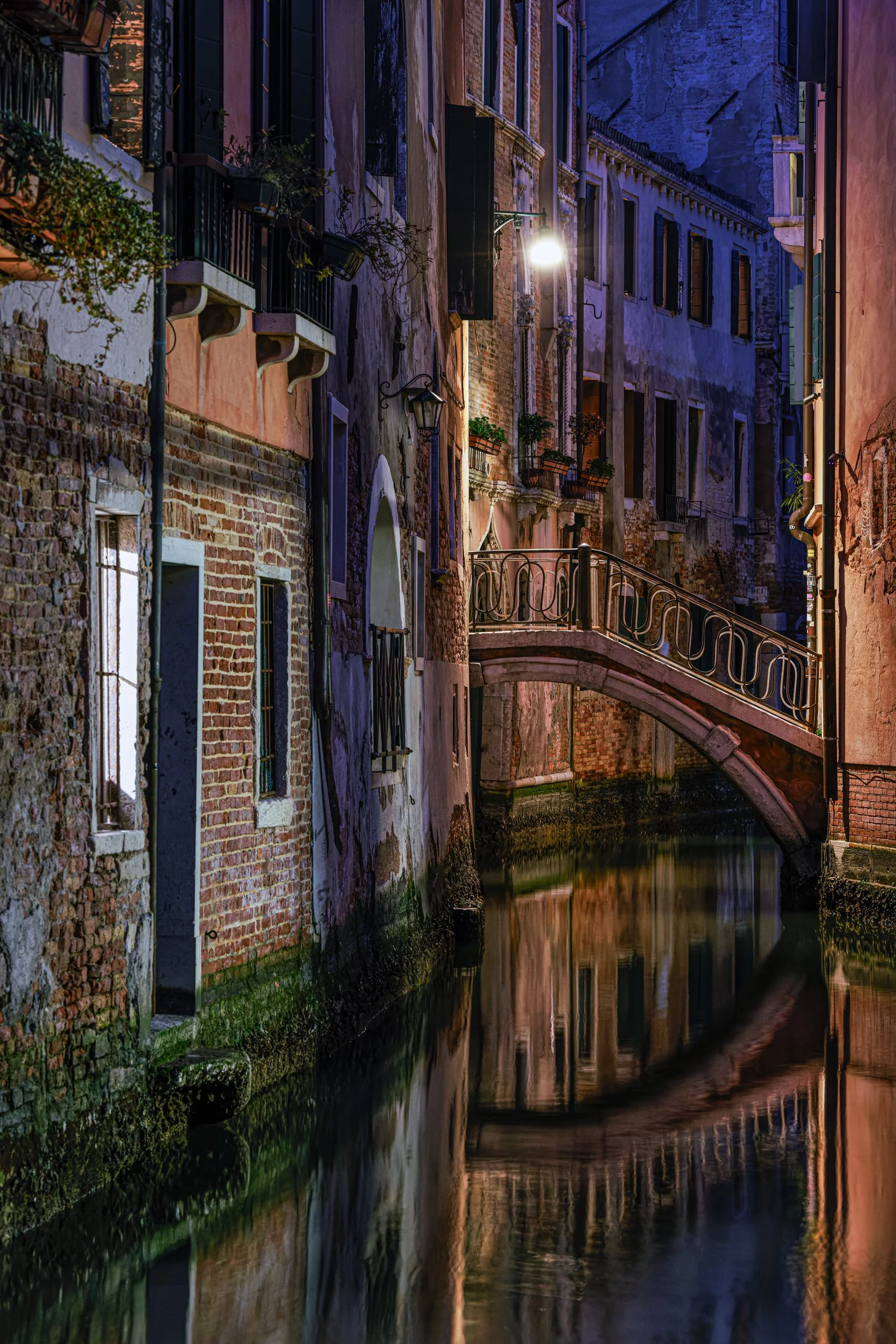 untitled (144 of 550)-CR3-Edit.jpg