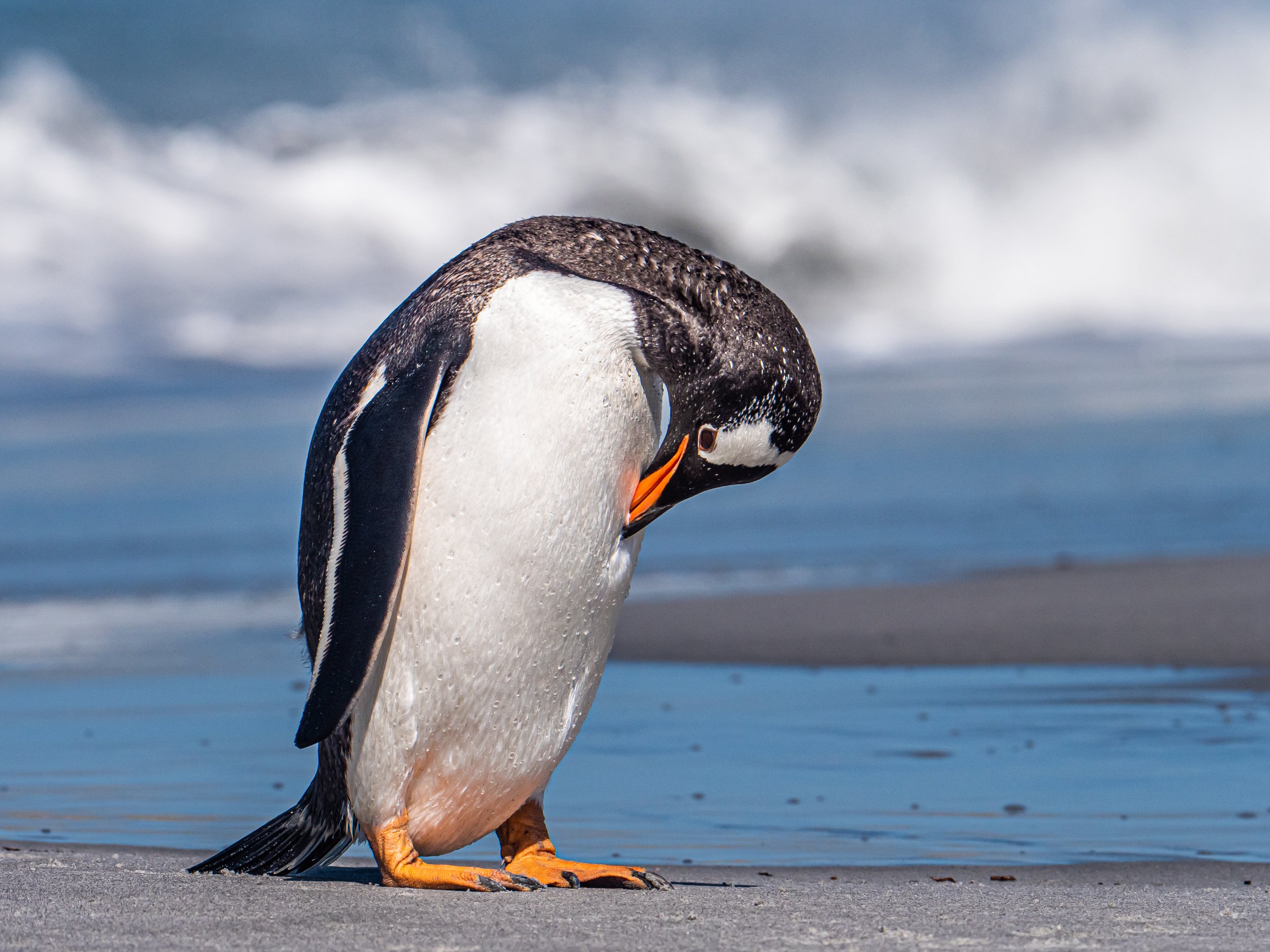 Lumix  4 (86 of 712).jpg