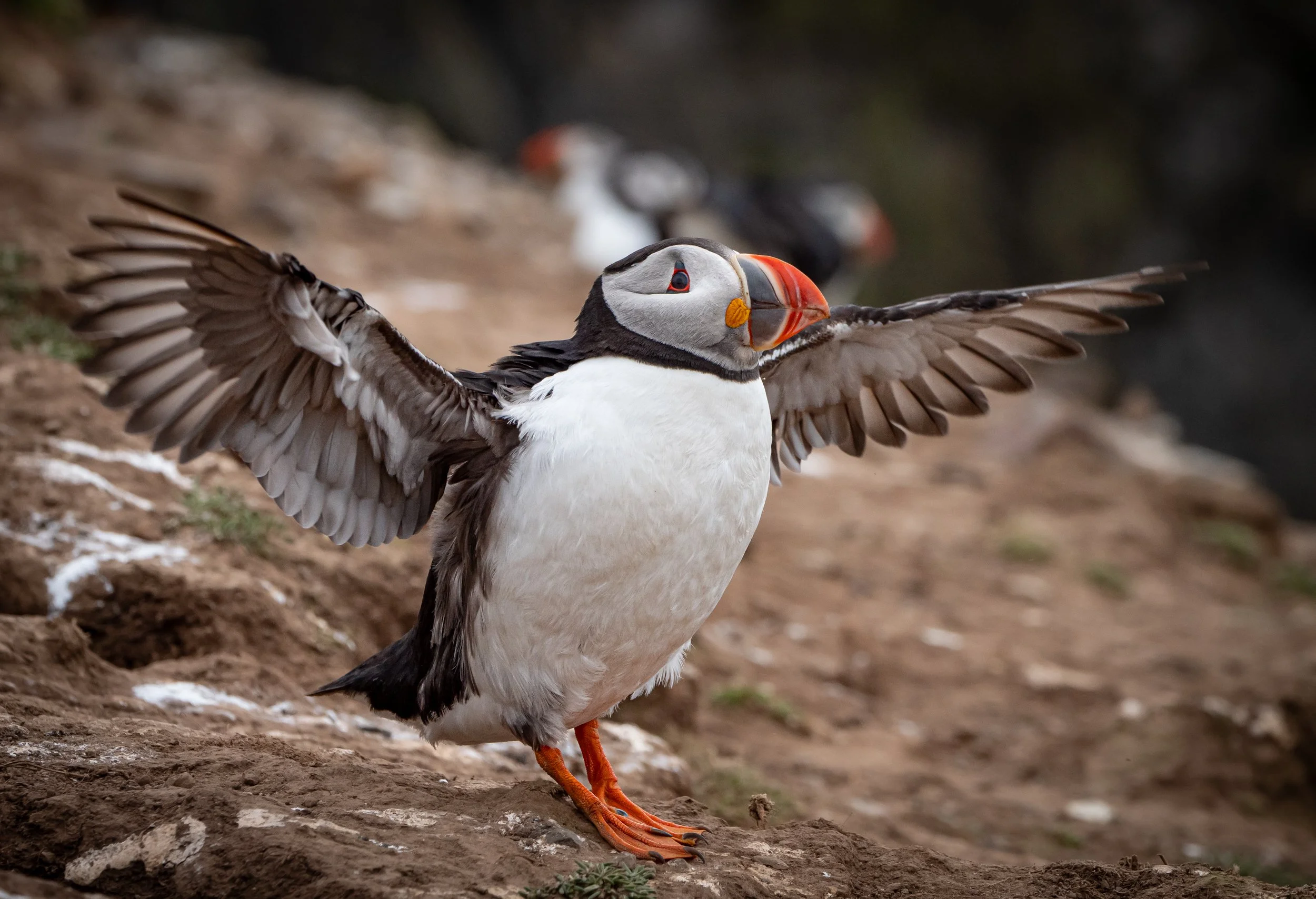 untitled (413 of 1928).jpg