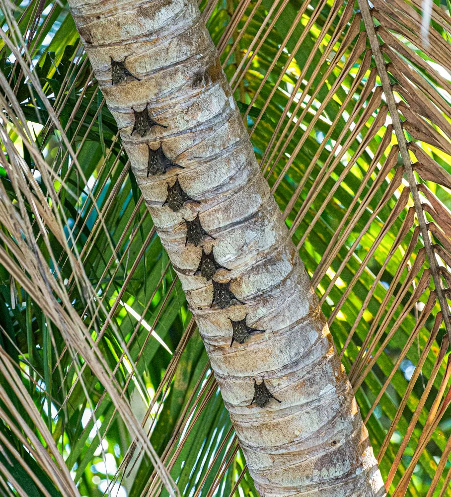 Costa Rica (1849 of 3839)-Edit-Edit.jpg