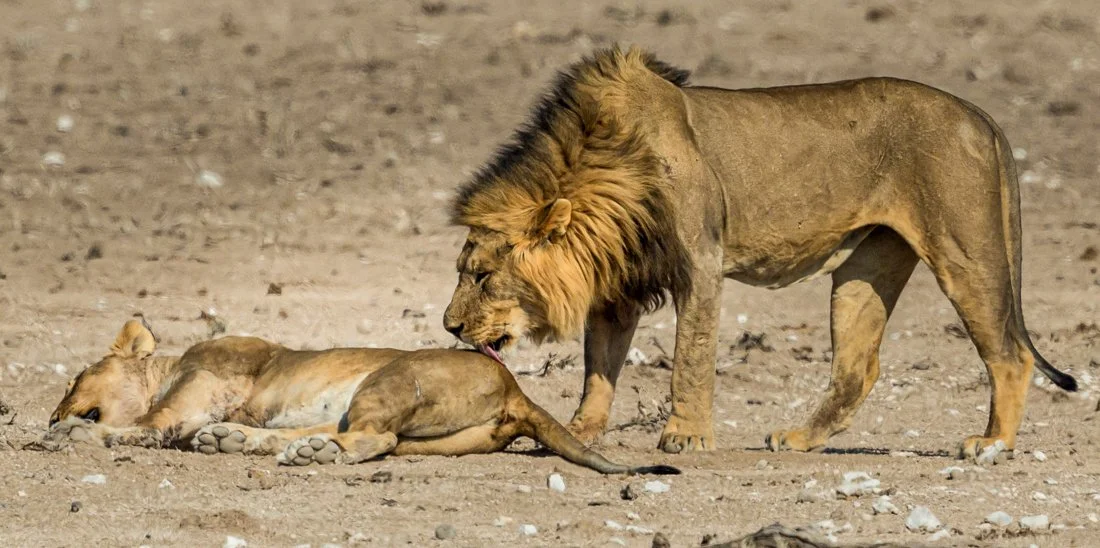 Namibia 19 (171 of 534)-Edit.jpg