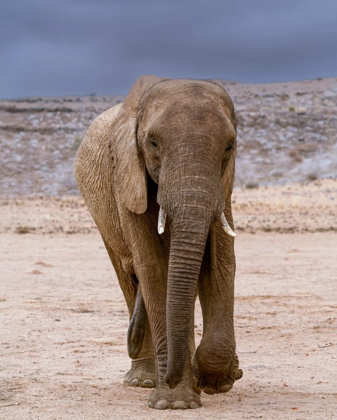 Namibia 8 (111 of 270)2-CR2-Edit.jpg