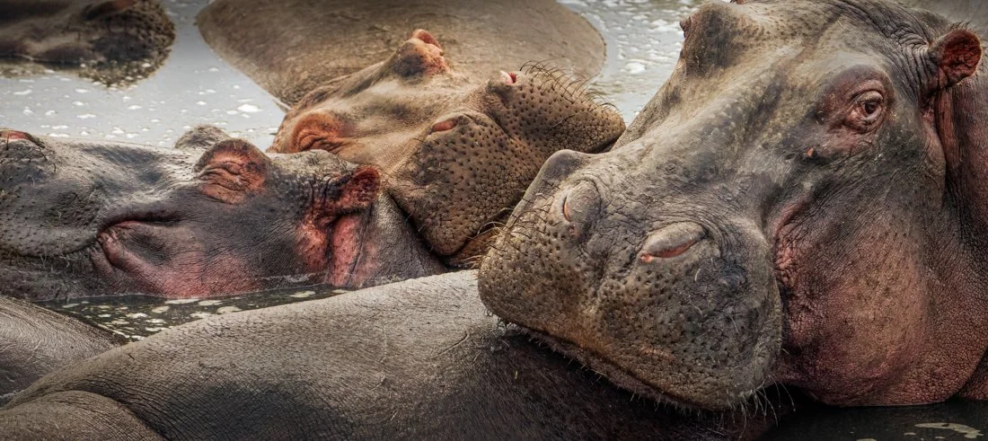 untitled (6455 of 6546)-Edit-Edit.jpg