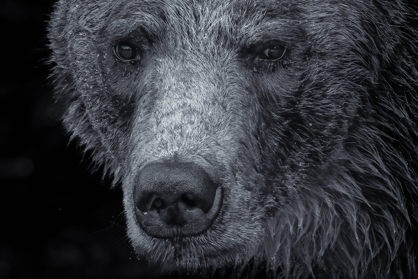 untitled (849 of 1393)-Edit-Edit-Edit.jpg