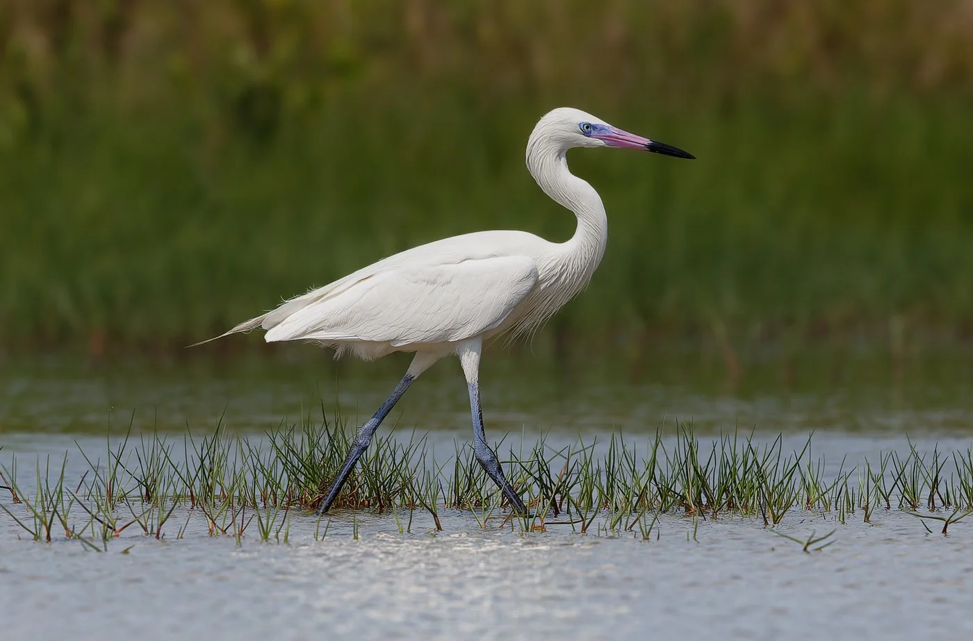 Florida Vacation (1999 of 7111)-CR2-Edit.jpg