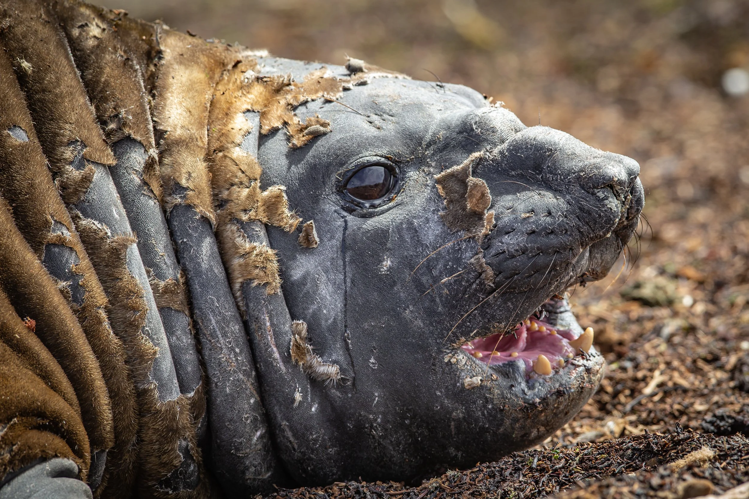 untitled (79 of 348).jpg