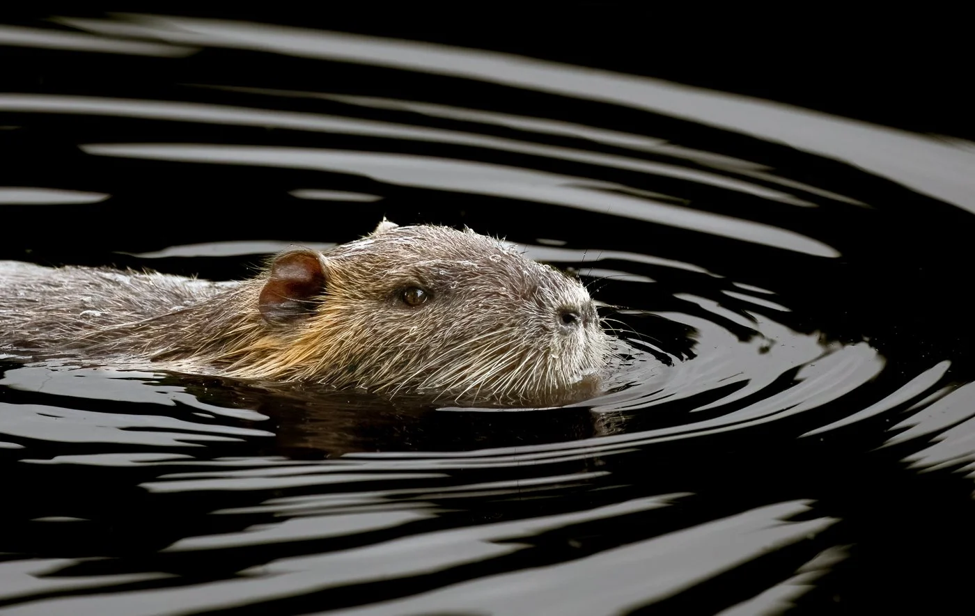 France June 2016 2(2385 of 2884)-Edit-Edit.jpg