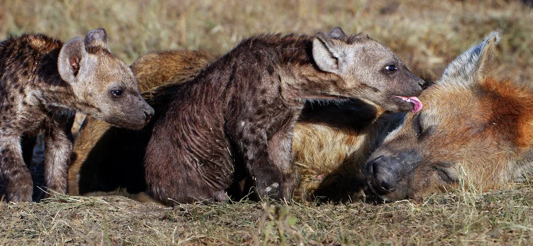 untitled (4062 of 6546)-RW2-Edit.jpg