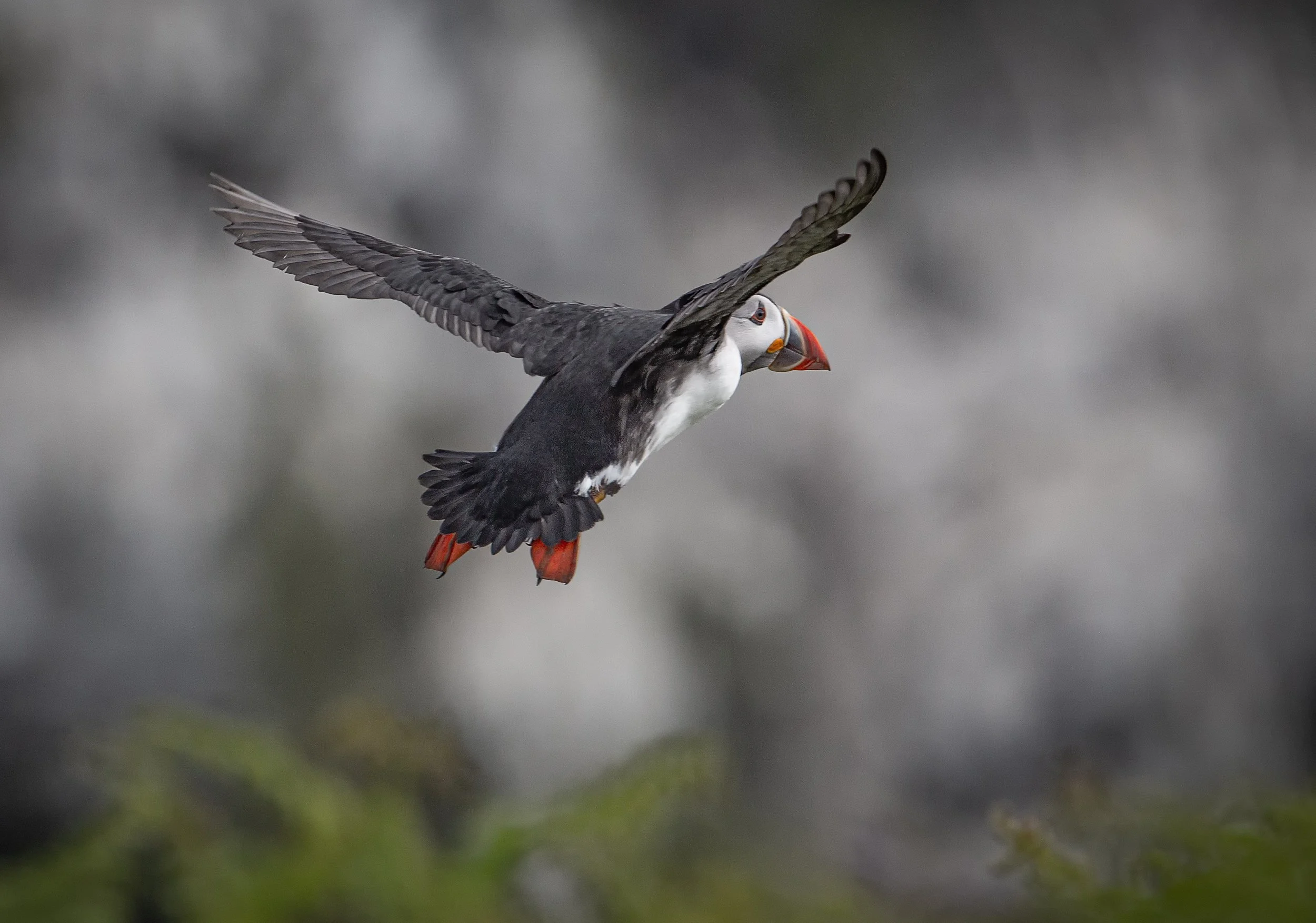 untitled (63 of 1432)-Edit-Edit.jpg