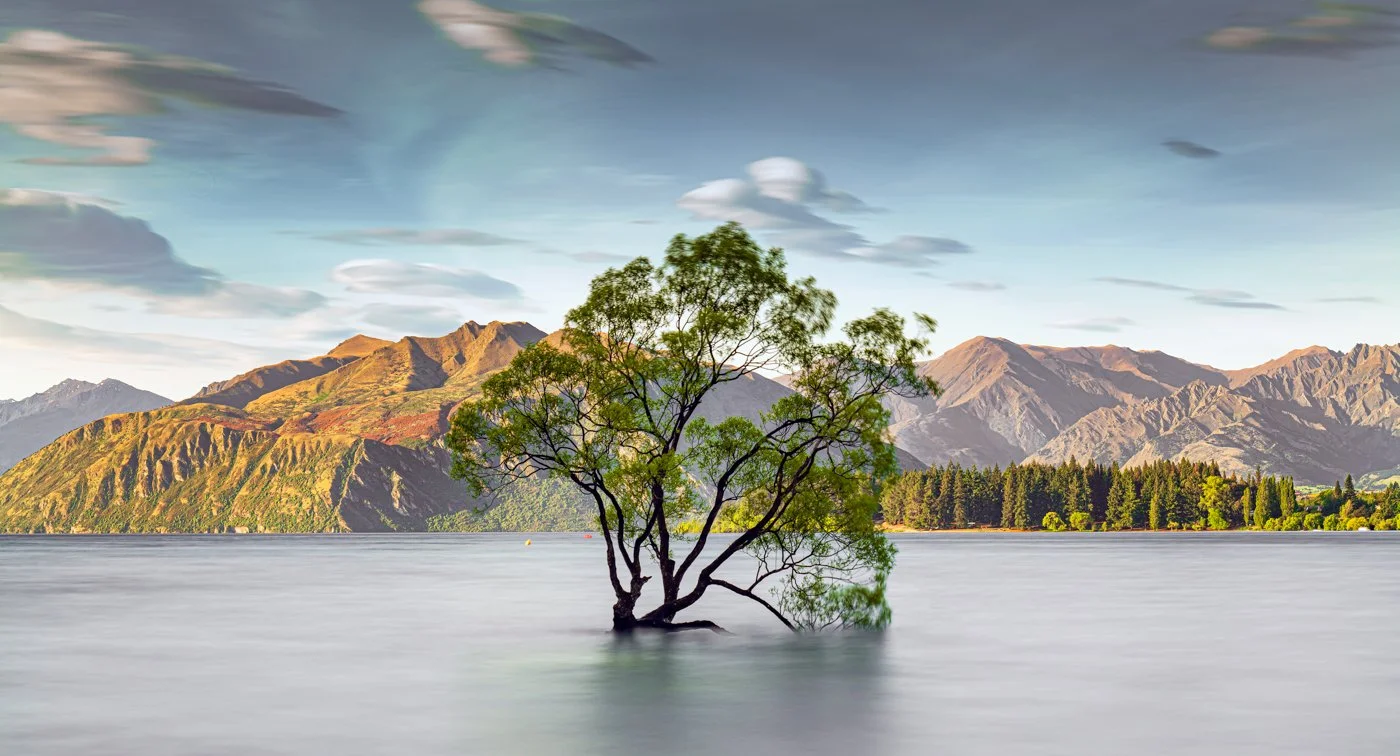 untitled (66 of 868)-Edit-2.jpg