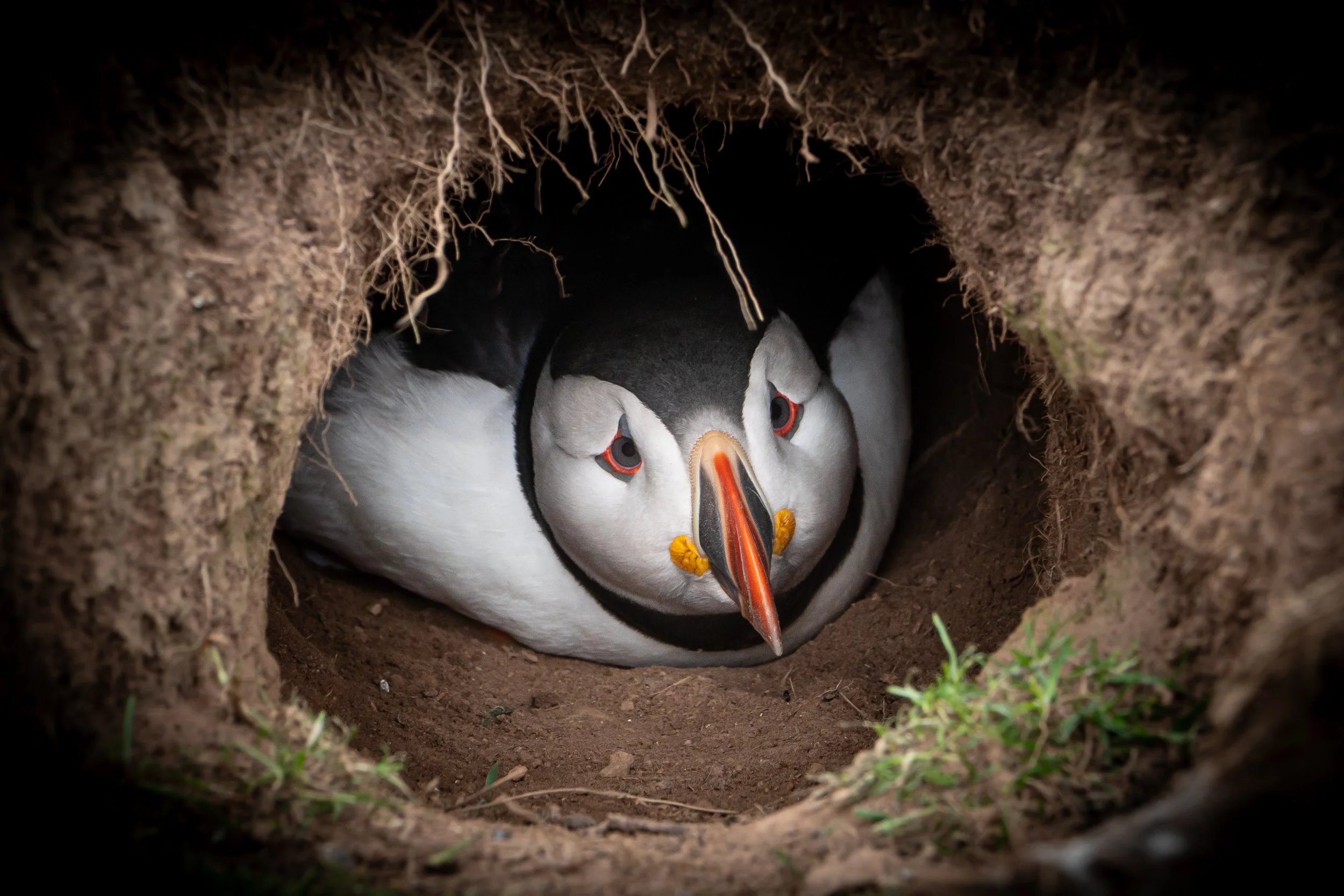 untitled (112 of 1928).jpg