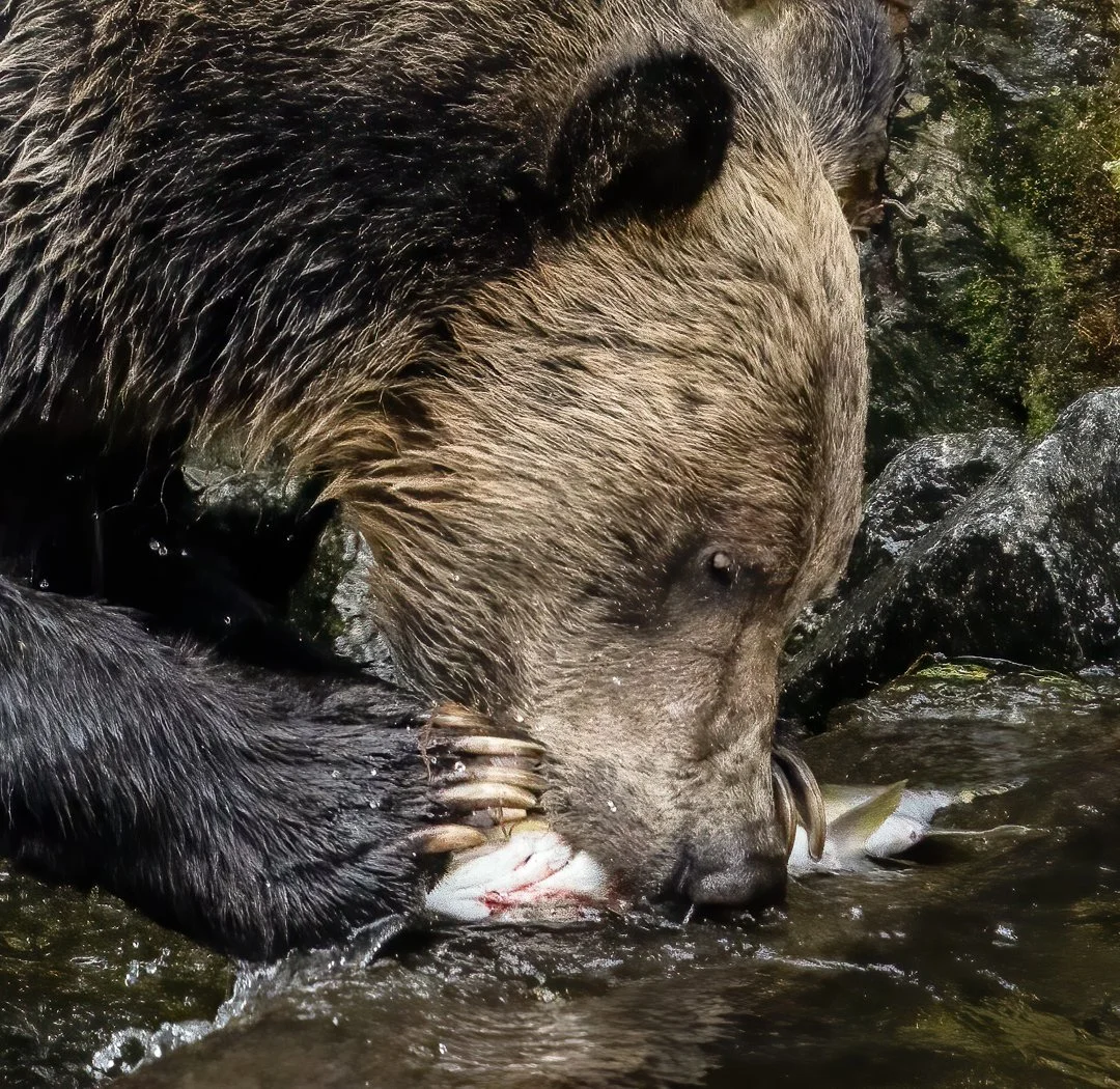 untitled (766 of 1393)-Edit-Edit-Edit.jpg