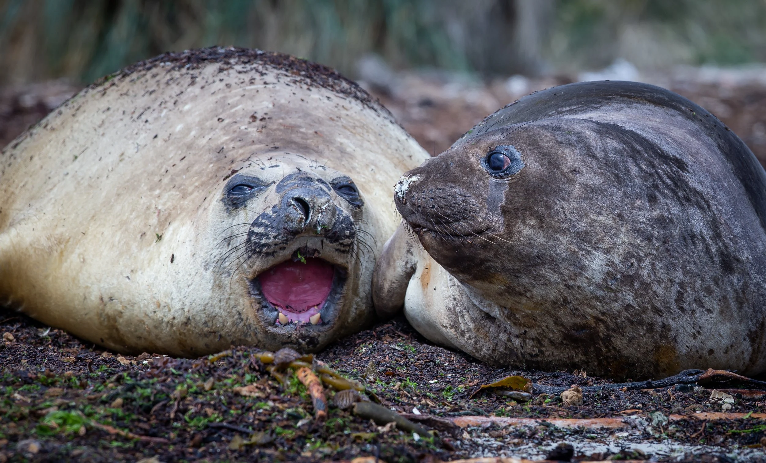 untitled (208 of 348).jpg