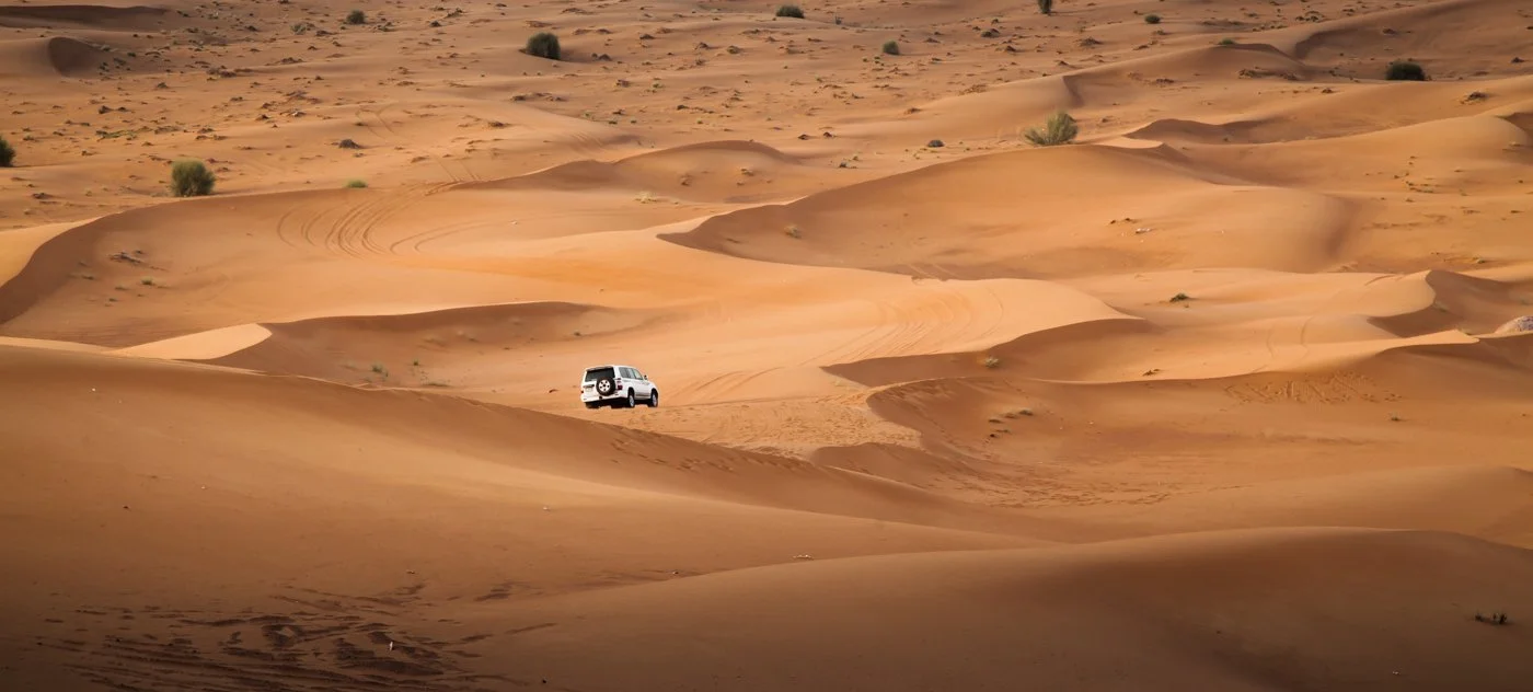Sand Dunes Safari  12   May 12, 2009.jpg