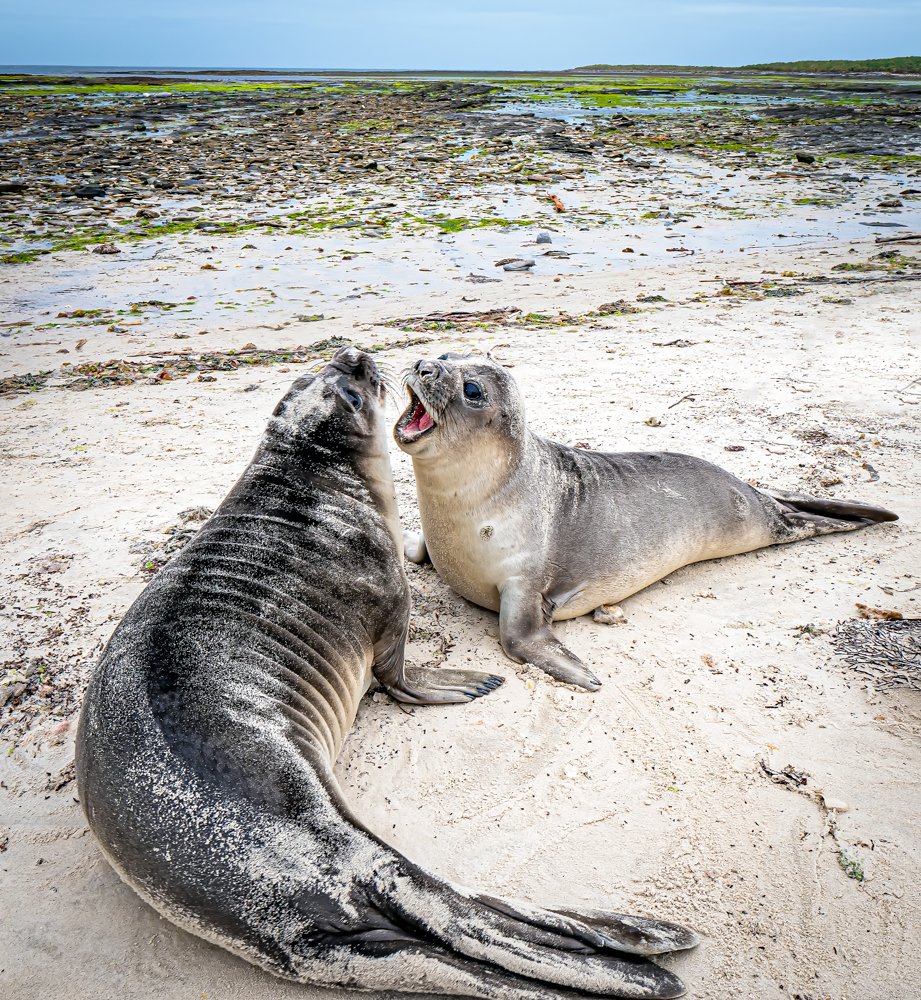 Lumix  3 (330 of 579)-Edit-Edit-Edit.jpg