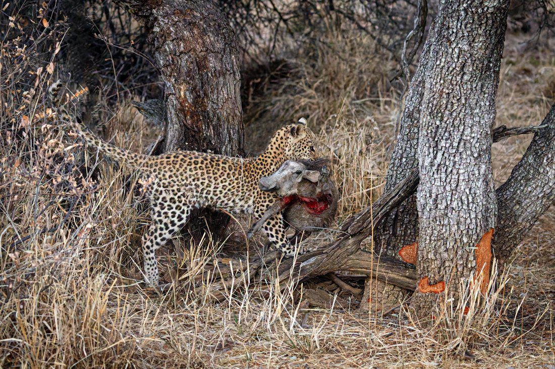 Namibia 18 (1974 of 2184)-DxO_DeepPRIME XD2s-Edit.jpg