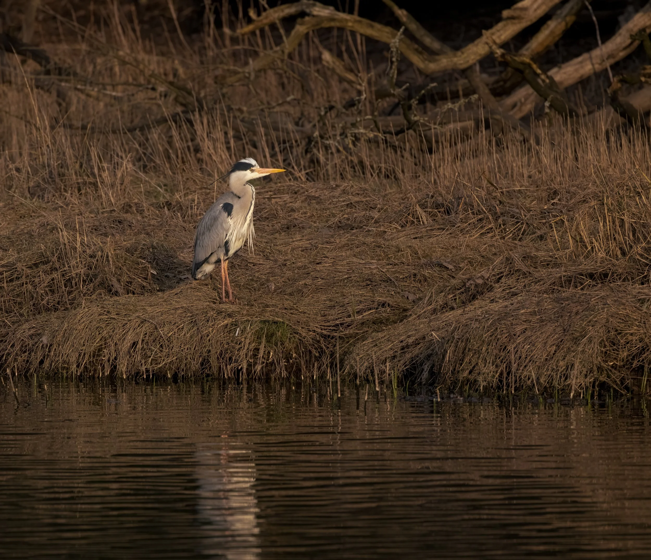 untitled (32 of 38)-Edit2-Edit.jpg