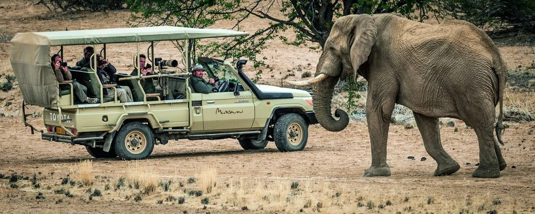 Toyota and elephant.jpg