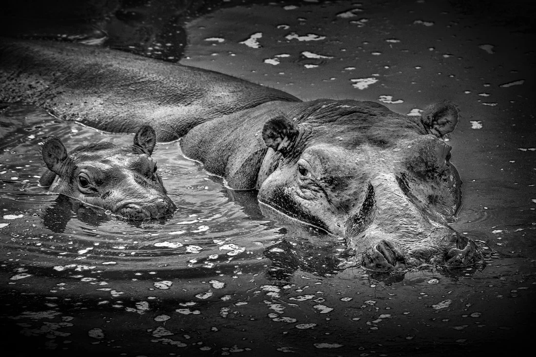 untitled (6452 of 6546)-Edit-Edit.jpg