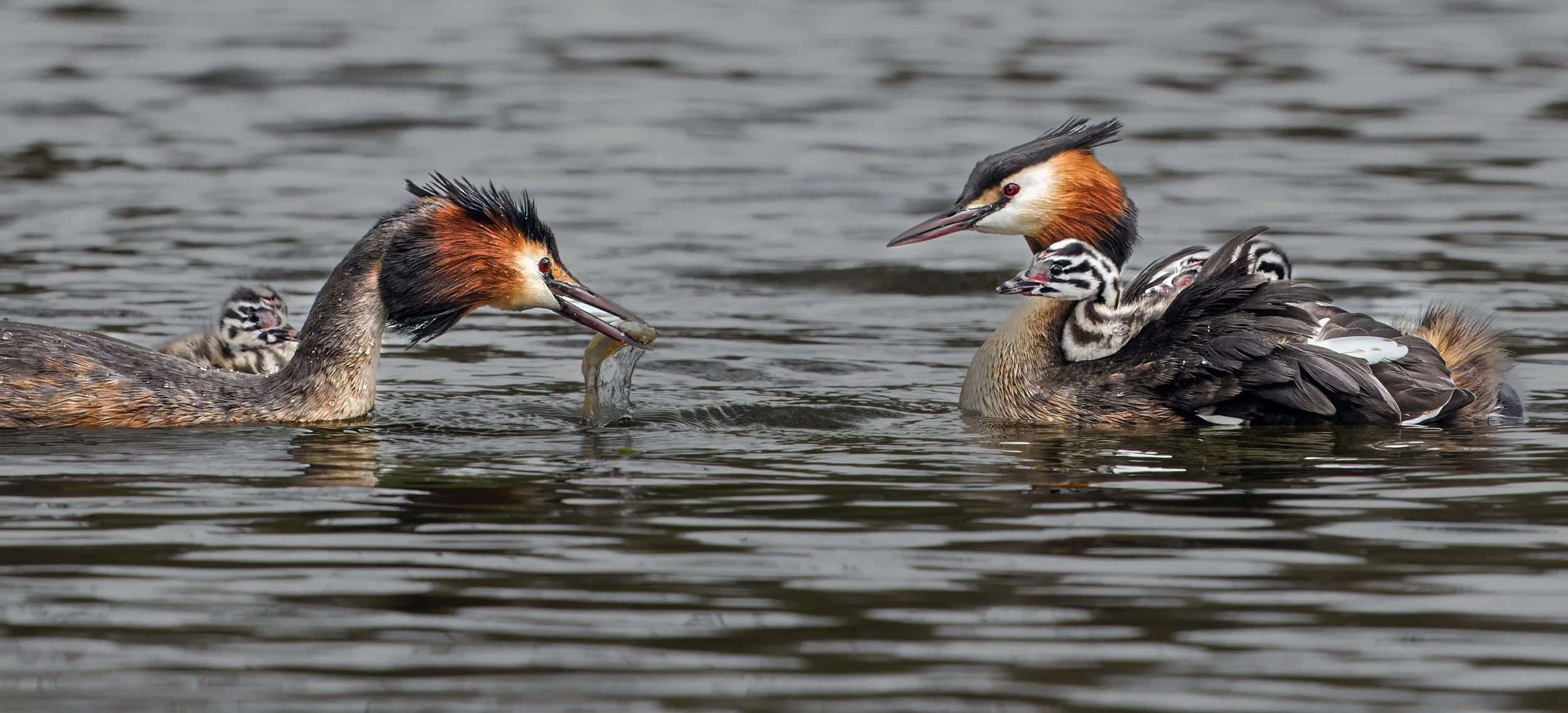 untitled (75 of 363)-CR3-Edit-2.jpg