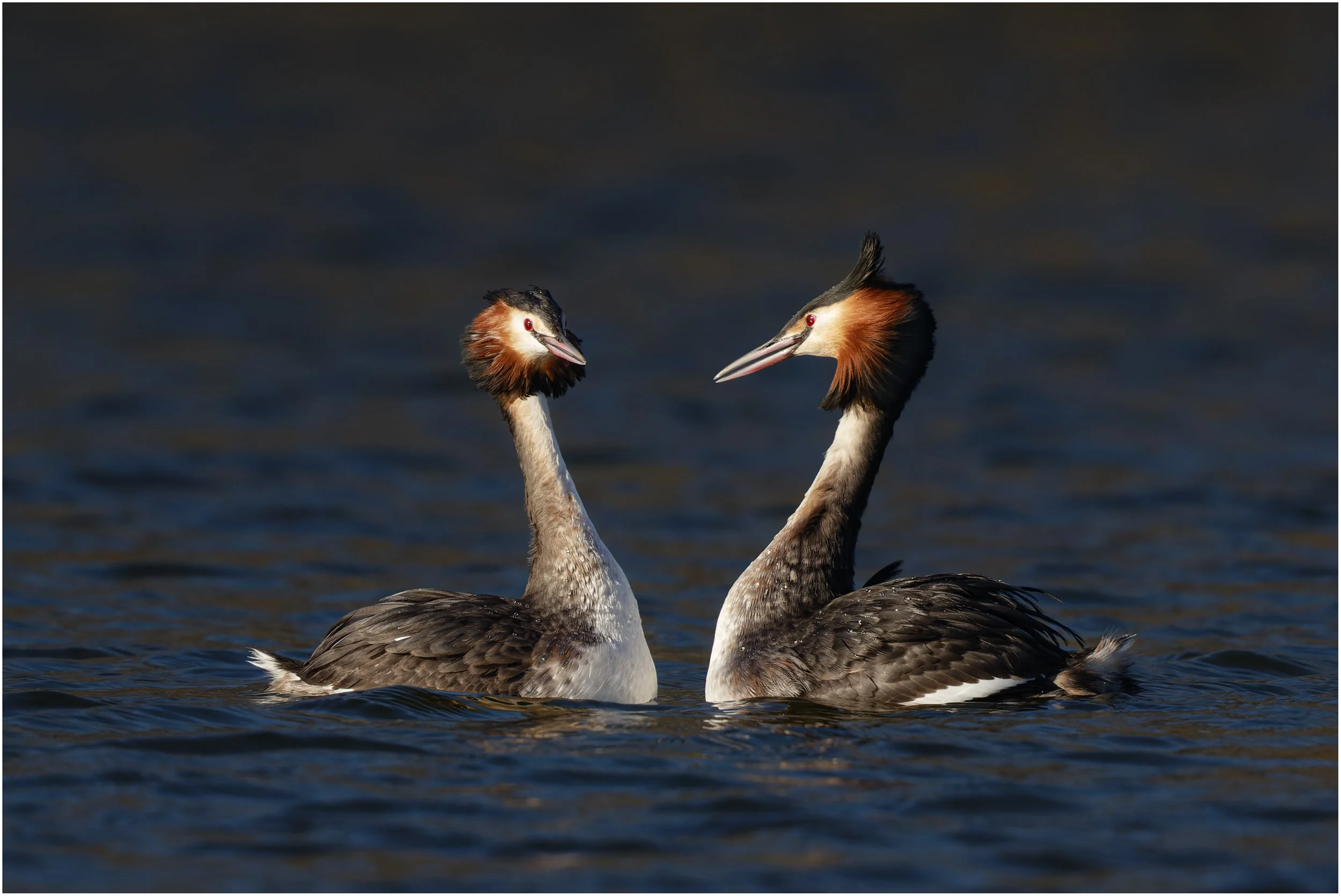 untitled (136 of 205)-CR3.jpg