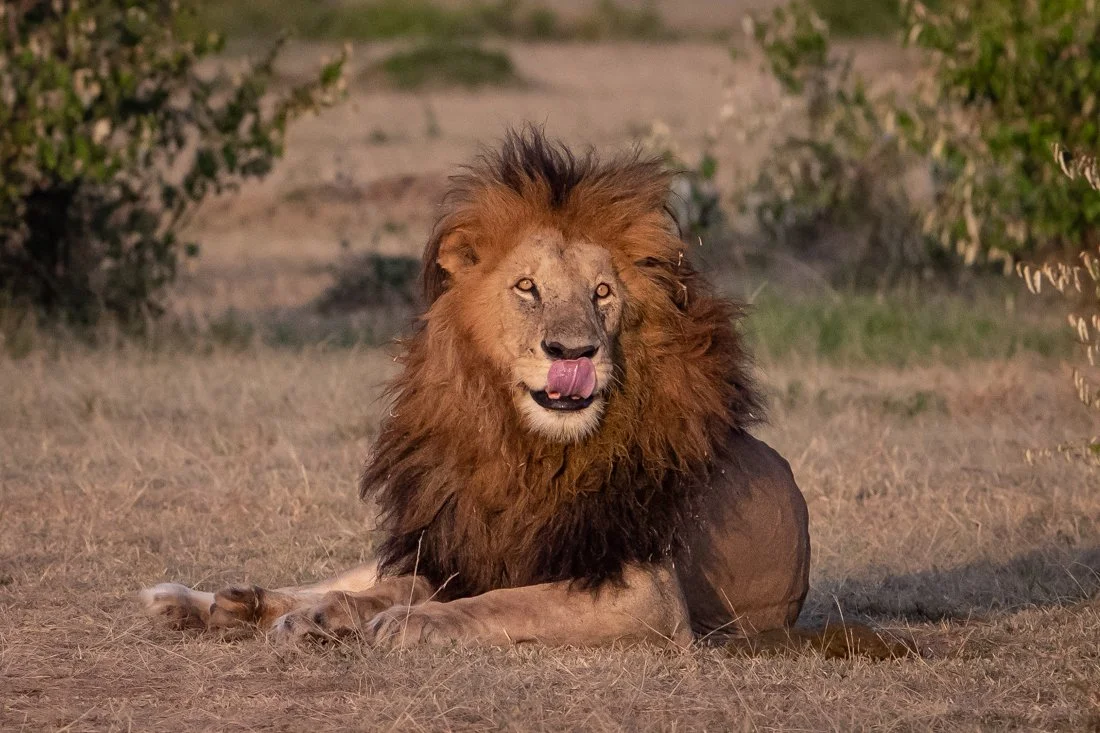 untitled (589 of 6546).jpg