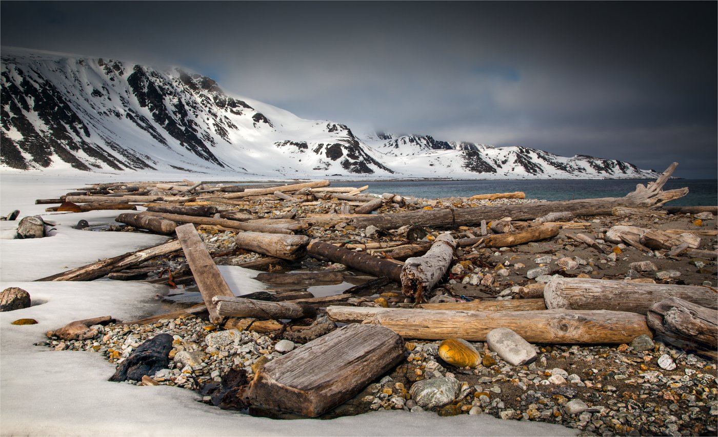 Logs Landscape-Edit Border.jpg